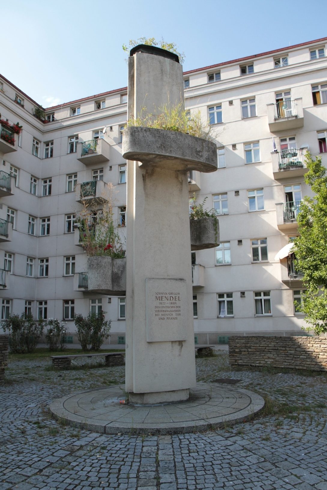 Mendel and Tschermak memorial, _Vienna - 02.JPG